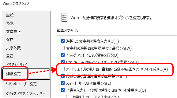 編集オプション