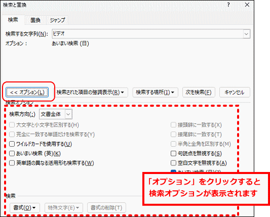 検索オプション